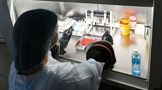 Фота РИА Новости Фота РИА Новости