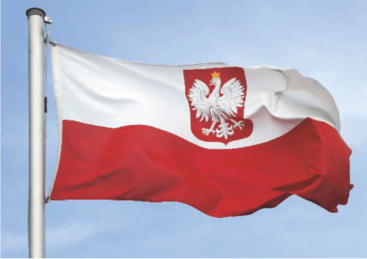 15755.png 15755.png