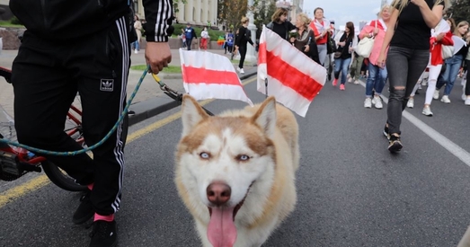 Расія. У Томску пракуратура папярэдзіла, што цяпер хаджэнне з ліхтарыкамі — масавая акцыя