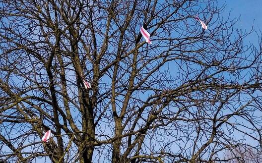Фота Дзмітрыя Дзмітрыева Фота Дзмітрыя Дзмітрыева
