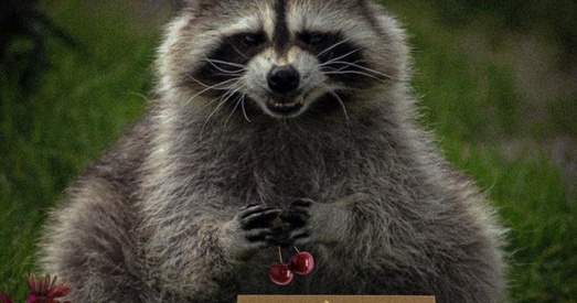 Янаціяда. Са скрадзеным з Херсона янотам не ўсё так проста