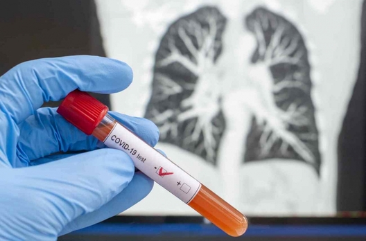 166abf59f6245d22e653804d1d90ac64.jpg 166abf59f6245d22e653804d1d90ac64.jpg