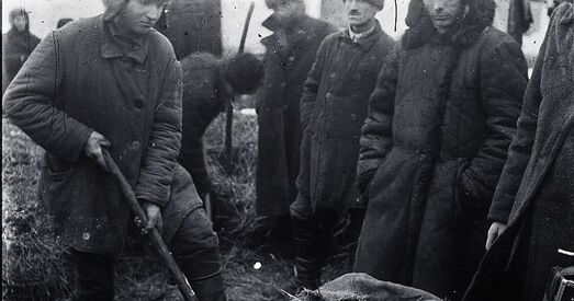 Як сялянаў запрыгонілі чарговы раз у 1929 годзе