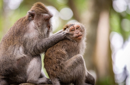 1_2_0.jpeg 1_2_0.jpeg