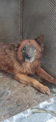 1bc67a7_________.jpg 1bc67a7_________.jpg