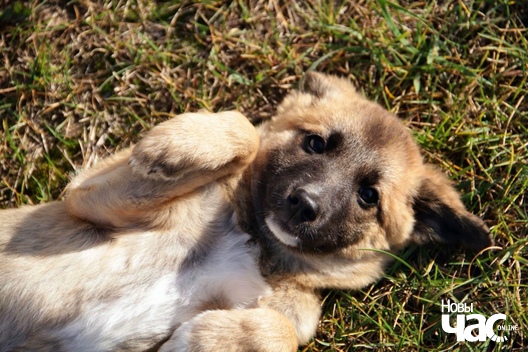 1d89k_xpqq0_logo.jpg 1d89k_xpqq0_logo.jpg