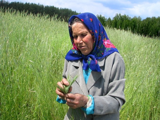 2014_05_29_uszescie_pieraliouka_0206.jpg 2014_05_29_uszescie_pieraliouka_0206.jpg
