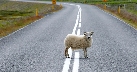 Працу над некаторымі дарожнымі картамі Беларусі і Расіі па інтэграцыі актывізуюць