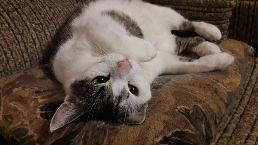 20171229_234245_logo.jpg 20171229_234245_logo.jpg