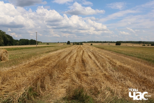 11/31 2019_07_26_28_olen_a._ljaszkevicz_img_1991_logo.jpg