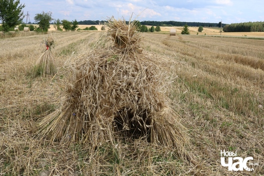 12/31 2019_07_26_28_olen_a._ljaszkevicz_img_2083_logo.jpg