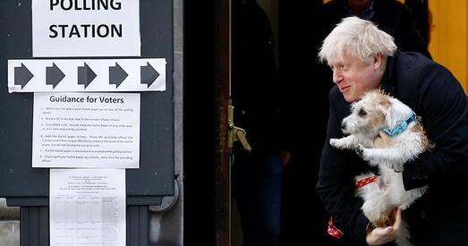 Вялікабрытанія. Галасуй з жывёлай!