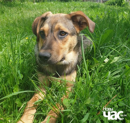 20200605_134519_logo.jpg 20200605_134519_logo.jpg