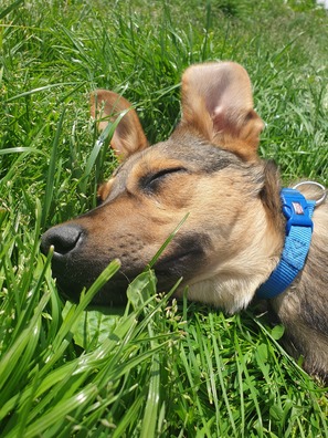 20200605_140025_logo.jpg 20200605_140025_logo.jpg