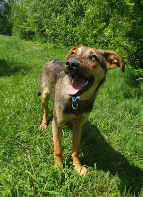 20200607_170848_logo.jpg 20200607_170848_logo.jpg