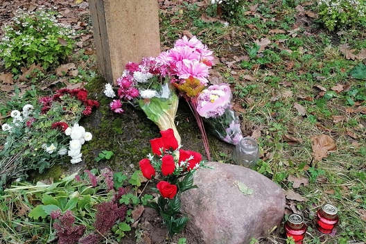 2020_11_02_lipka_palaji_f2.jpg 2020_11_02_lipka_palaji_f2.jpg