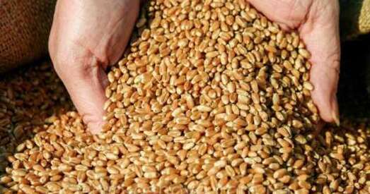 Шольц супраць зняцця санкцый з РБ