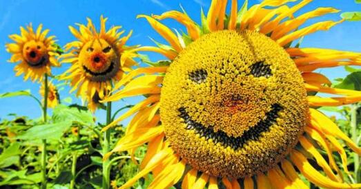 Украіна. Наперадзе — дзесяцігоддзе ўкраінскай мовы