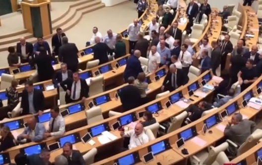 Бойка на пасяджэнні парламента Грузіі. Фота: кадр з відэа Бойка на пасяджэнні парламента Грузіі. Фота: кадр з відэа