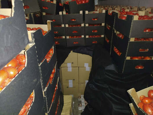 241101025_4172200416191453_5293037937614995520_n.jpg 241101025_4172200416191453_5293037937614995520_n.jpg