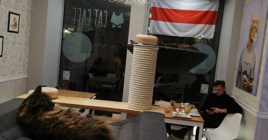 Беларускі сцяг з'явіўся ў Cat Cafe у Вільні (фотафакт)