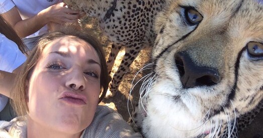 Вялікабрытанія. Забарона на сафары