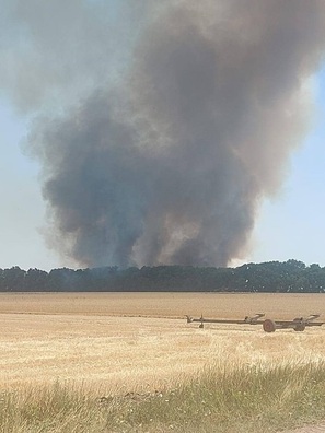 2749059.jpg 2749059.jpg