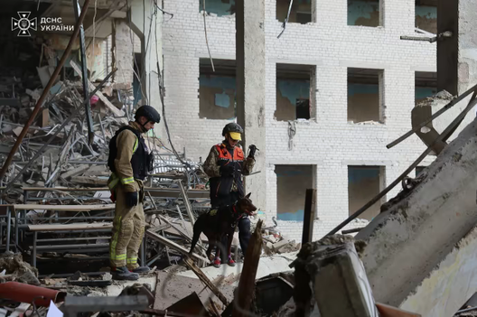 1/4 278c6c6_photo_2024_09_05_14_55_19__3_.avif