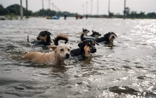 2832868.jpg 2832868.jpg