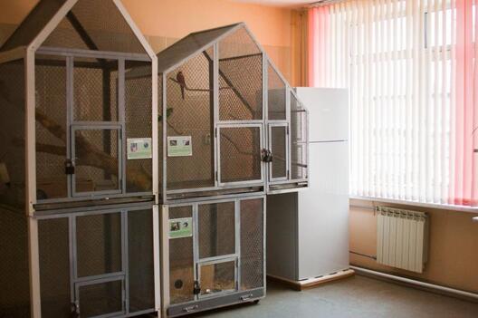 Тая самая лядоўня – у куце Тая самая лядоўня – у куце