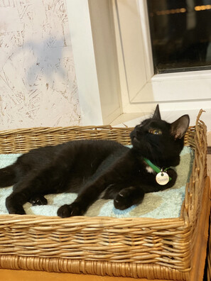 2_f41_ae70_b3_c4_4_ed3_be98_bc4890463_fab_logo.jpg 2_f41_ae70_b3_c4_4_ed3_be98_bc4890463_fab_logo.jpg