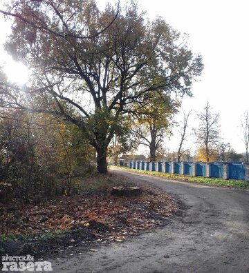 2dub_bulkovo_1019_zhiteli_bg.jpg 2dub_bulkovo_1019_zhiteli_bg.jpg