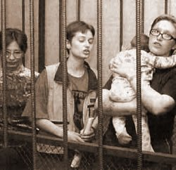 Злева направа: Надзея Ракс, Ларыса Раманава, Вольга Неўская. Злева направа: Надзея Ракс, Ларыса Раманава, Вольга Неўская.