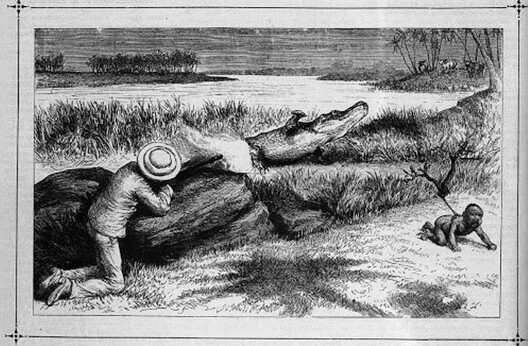 318835_original.jpg 318835_original.jpg