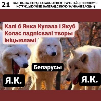 5/7 321652150_1261038354454985_6149839799257973064_n.webp