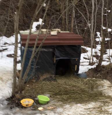 Фота з фб Жанны Жалевіч Фота з фб Жанны Жалевіч