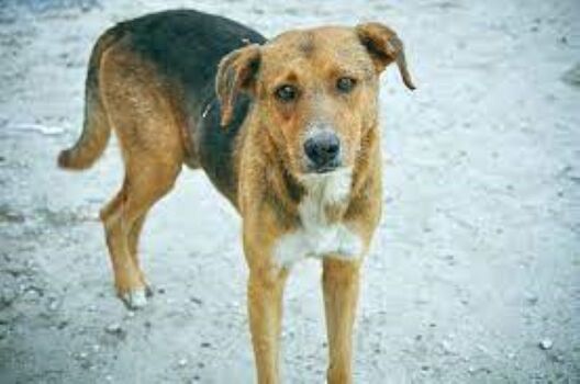 Фота з фб Жанны Жалевіч Фота з фб Жанны Жалевіч