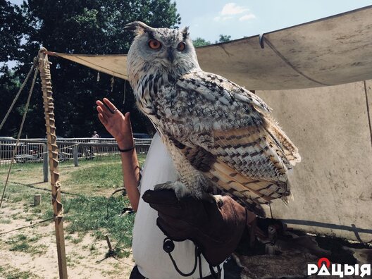 1/8 34319907_1803568449688986_8995965016159027200_n.jpg