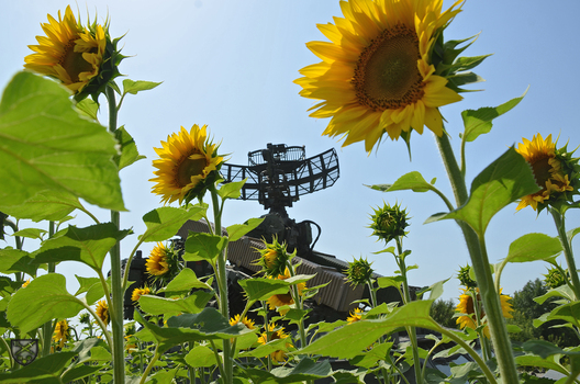 366296502_640771624902586_6094776786674045271_n.jpg 366296502_640771624902586_6094776786674045271_n.jpg