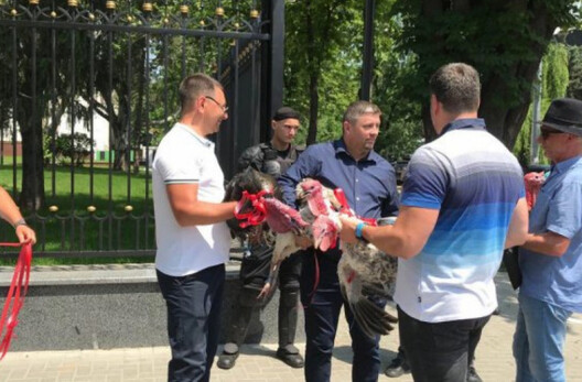 368787.jpg 368787.jpg