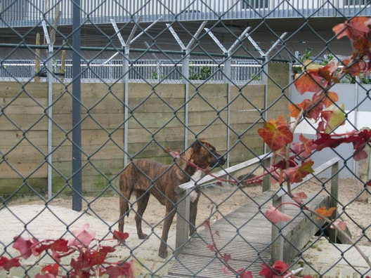 4.bp.blogspot.com___bxqxymik06e_uj_478cb874277a7c0e7a7fad7eadbbbb9d.jpeg 4.bp.blogspot.com___bxqxymik06e_uj_478cb874277a7c0e7a7fad7eadbbbb9d.jpeg