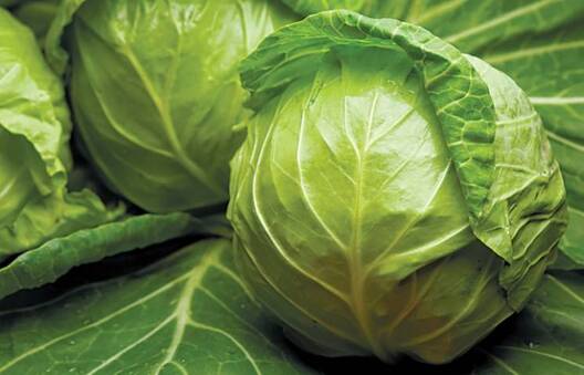 421112.jpg 421112.jpg