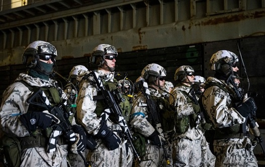 Ваенныя вучэнні Швецыі. Фота: Getty Images Ваенныя вучэнні Швецыі. Фота: Getty Images