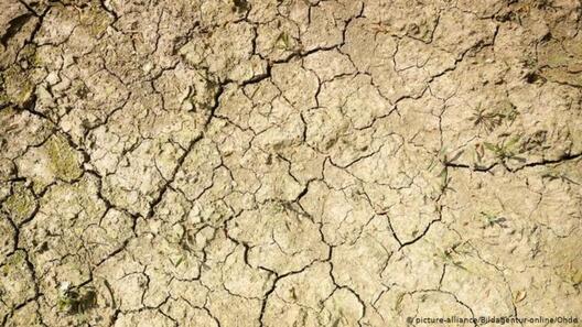 Засуха ў Германіі. Фота www.dw.com Засуха ў Германіі. Фота www.dw.com