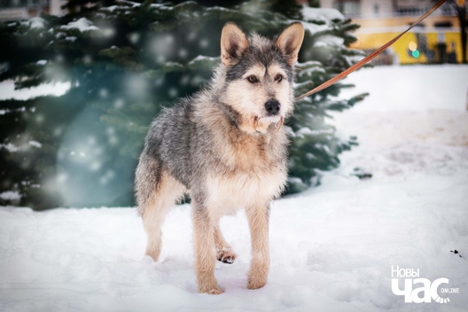 3/5 4fwymqib4ys_logo.jpg