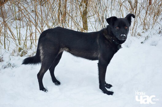 4w5mjluv4ri_logo.jpg 4w5mjluv4ri_logo.jpg