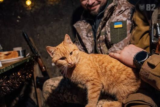 503129943_1069575972022147_3211760149489417690_n.jpg 503129943_1069575972022147_3211760149489417690_n.jpg