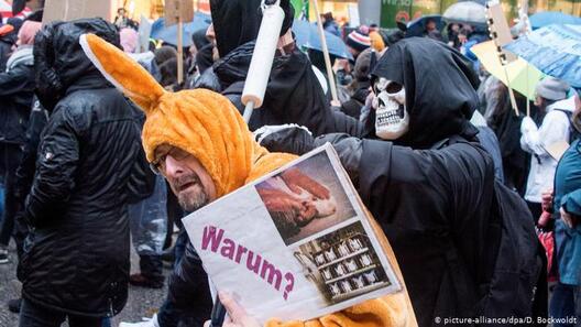 Пратэст у Гамбургу Пратэст у Гамбургу