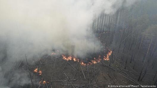 Пажар у зоне адчужэння ЧАЭС Пажар у зоне адчужэння ЧАЭС