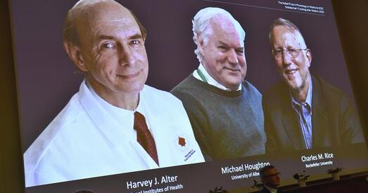 Нобелеўскую прэмію па медыцыне ўручаць за адкрыццё віруса гепатыту С